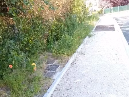 terrain à bâtir viabilisé 1 338 m² – bellegarde (45)