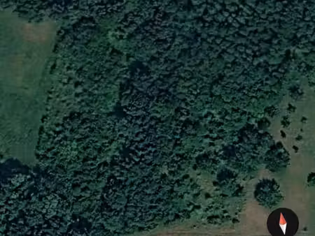 terrain arboré de loisirs