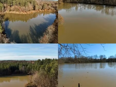 terrain de loisir de 4ha avec etang tout évènements