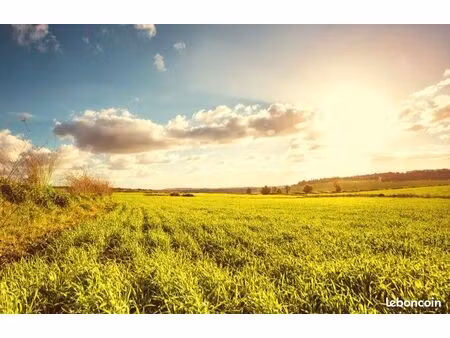 terrain 600 m² sorigny