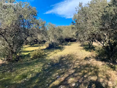 terrains à bâtir