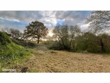 vends terrain viabilisé pour construire votre future maison de 50 m2 au sol