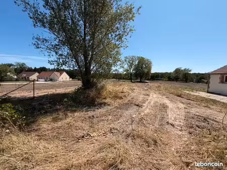 terrain 7 500 m² mur de sologne