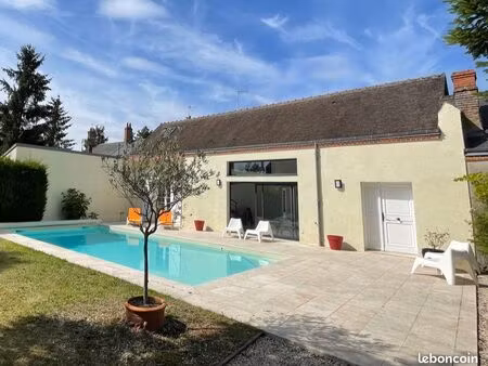 grande maison familiale - olivet bourg