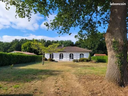 maison avec grand terrain