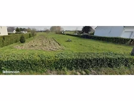 terrain constructible