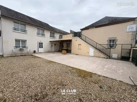 hôtel particulier 20 pièces 600 m²