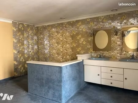 maison 10 pièces 225 m²