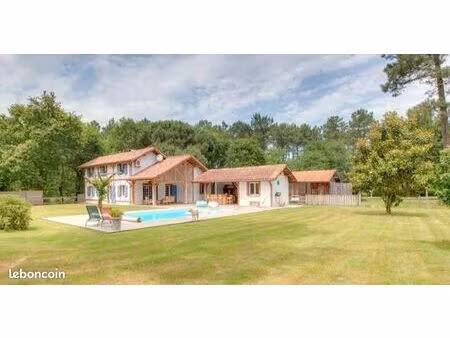 au cœur de la forêt