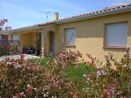 maison à louer lavaur
