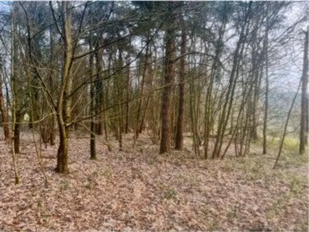 terrain/bois 6500m2 malestroit