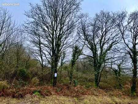 terrain 3000m2 trehorenteuc