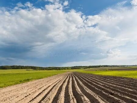 terrain agricole pour investissement