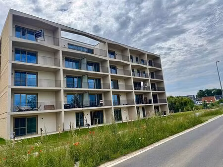 appartement à louer à moederplein 12 lier (rbw26265)