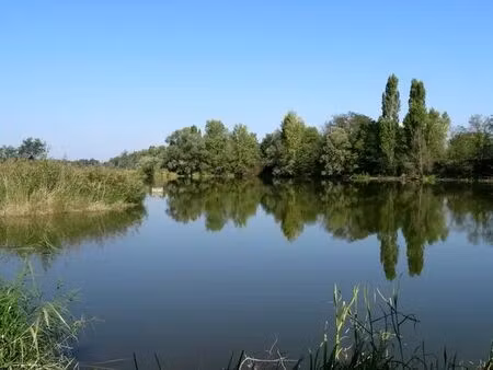 pour projet professionnel autour de la pêche et de la restauration recherche lac étang gra