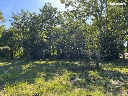terrain 800 m² gujan mestras