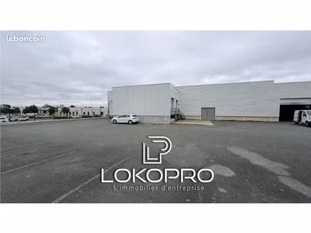 local 1000 m² cholet