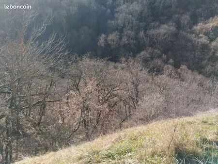 grand terrain de nature / lande proche ardes – 8 670 m²