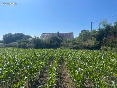maison plain pied sans voisin