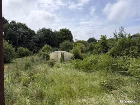 terrain 1000 m² camors
