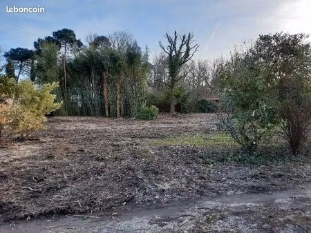 terrain 1 356 m² gradignan
