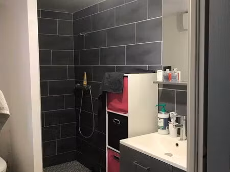 appartement t3 st maurice l’exil