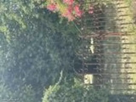 terrain 600 m² gujan mestras