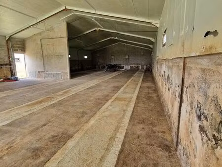 location batiment hangar