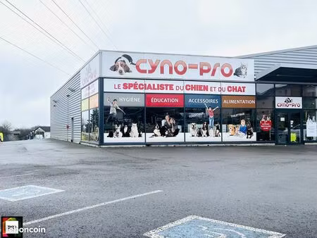 local commercial 310 m² lexy