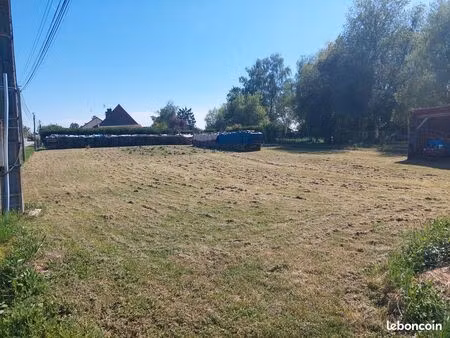 terrain constructible
