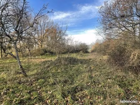 terrain 2 960 m² saint sylvestre pragoulin