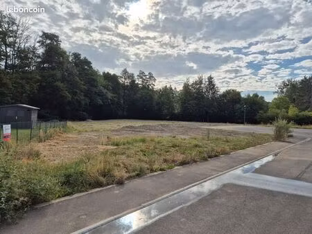 terrain à bâtir viabilisé – environnement préservé  un seul voisin direct  calme absolu