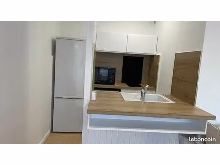 loue f1 meuble face metz gare 34m2