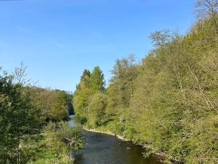 terrain boisé 5613m2 avec une centaine de plantation de peupliers en bord de rivière  bois