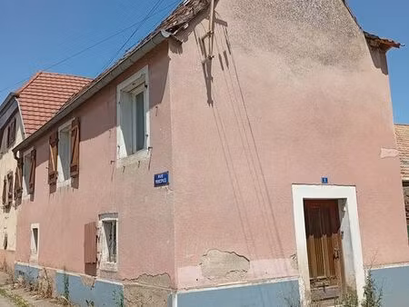 opportunité d'investissement : projet de rénovation totale à gundolsheim