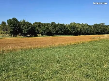 terrain 1 300 m² fleurville
