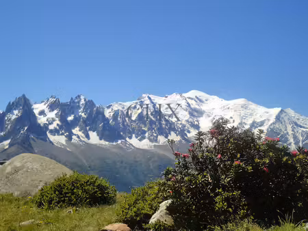 vente locaux professionnels à chamonix-mont-blanc (74400)  3 900 000 €