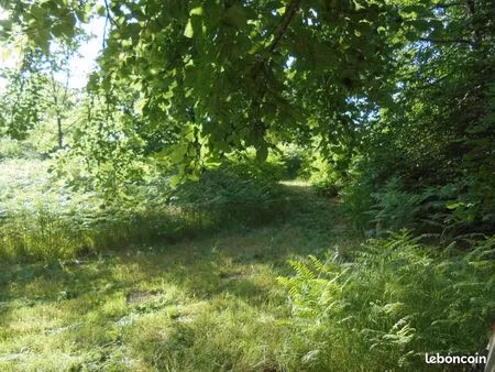 beau terrain de loisir au coeur du morvan