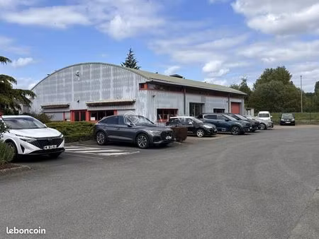 local d'activité 300 m²