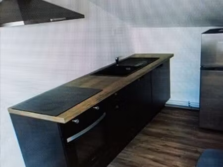 très bel appartement f2 rénové entièrement