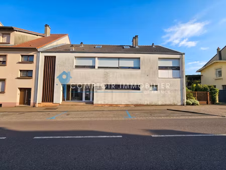 342 m² stiring-wendel (57350)
