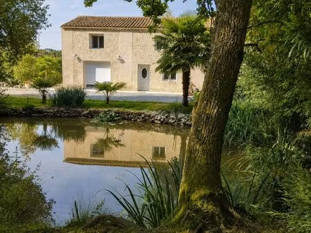 maison rénovée au calme 2 terrain