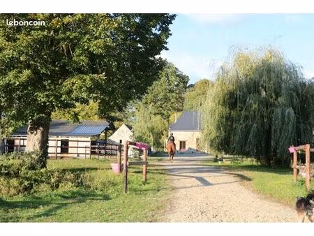 propriété equestre  ecurie  fermette