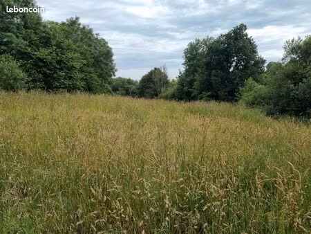terrain agricole 1 hectares