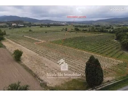 terrain agricole 1 662 m² estagel