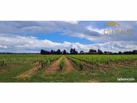 terrain 20000 m² cairanne