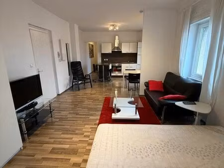 grand studio meublé 42m2