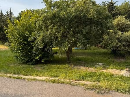 terrain constructible