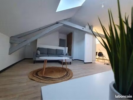 charmant appartement 1 chambre