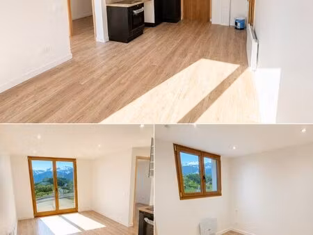 appartement t3/4 de 60 m² entièrement rénové  disponible immédiatement